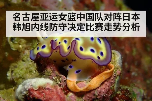 名古屋亚运女篮中国队对阵日本 韩旭内线防守决定比赛走势分析